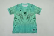 Brasil portero color verde 2026