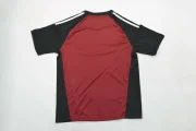 Kit de niño España portero color rojo 2026 - Imagen 4