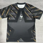 Francia portero color gris 2026