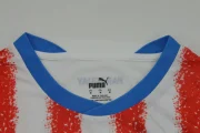 Paraguay local 2026 versión jugador - Imagen 2