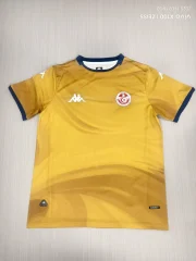 Túnez alternativa 2026